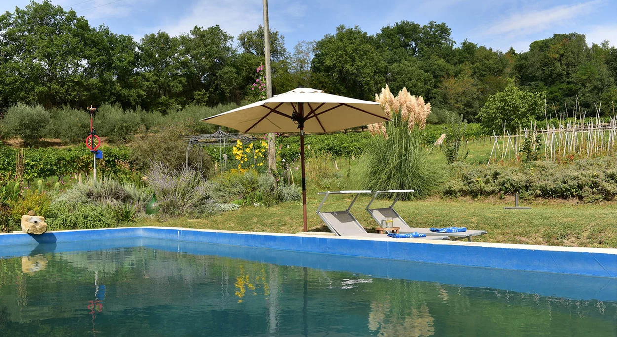 Naturschwimmbad mit Sonnenschirm und Liegen im Garten