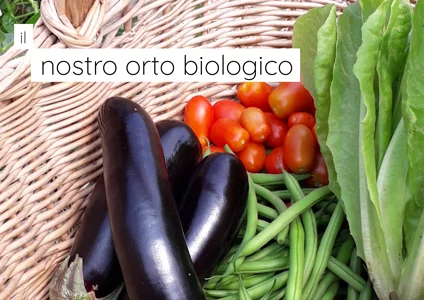 Il nostro orto biologico